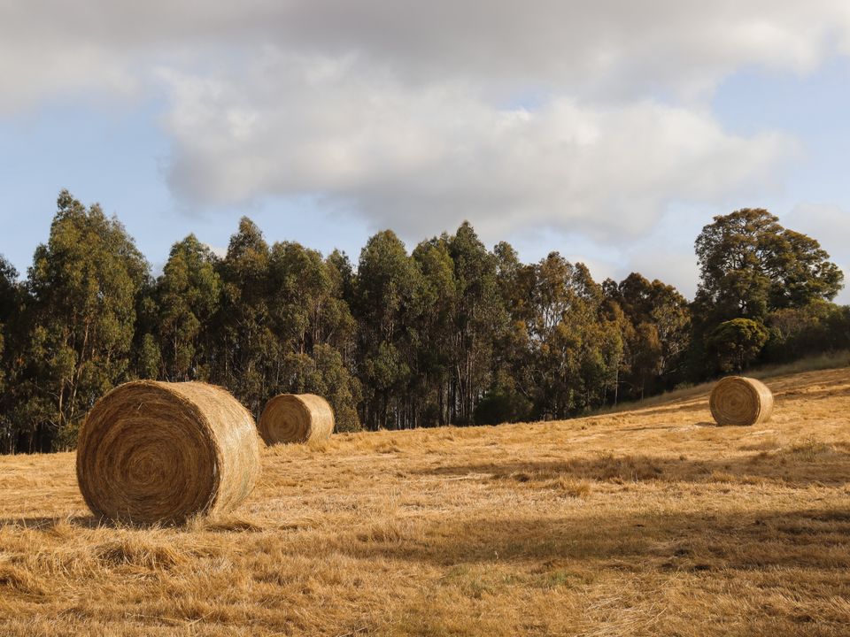 Story image 8